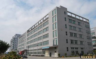 鳳岡泰川麻將機10周年慶，特價988元，驚喜大獎等你來抽！